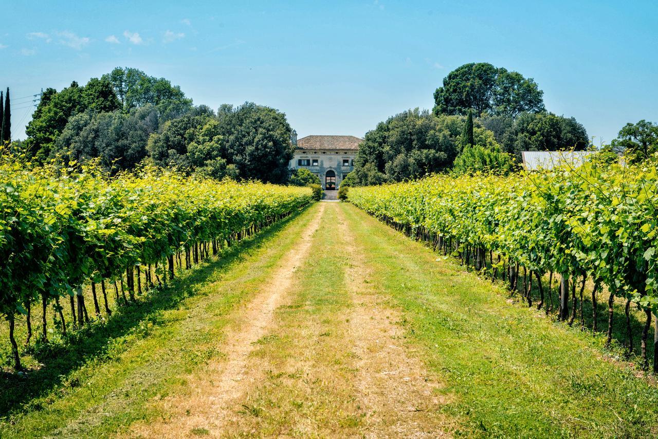 Relais Villa Sagramoso Sacchetti Verona Buitenkant foto