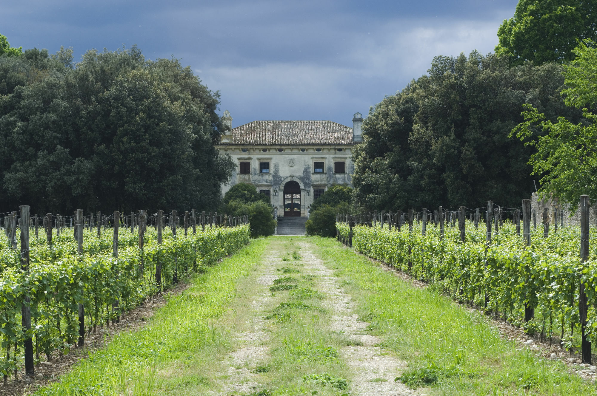 Relais Villa Sagramoso Sacchetti Verona Buitenkant foto
